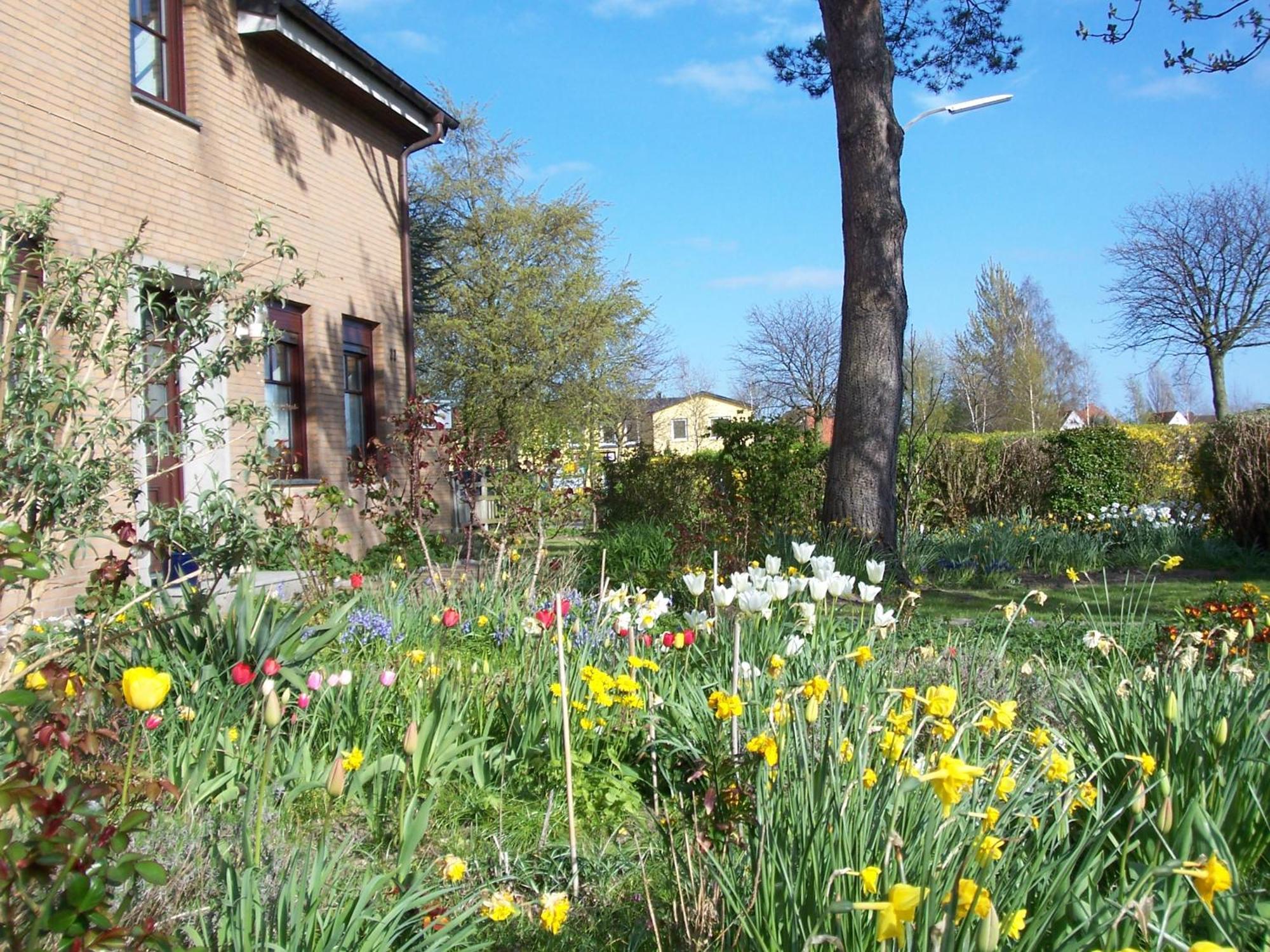 Villa Kronsteert Dahme  Zewnętrze zdjęcie